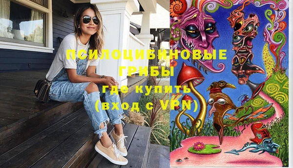 дживик Приозерск
