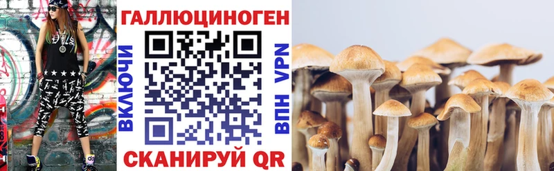 Галлюциногенные грибы MAGIC MUSHROOMS  Холм 